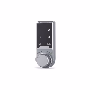 Electronic Lock Vertical