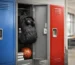 Student Lockers for Schools That Need to Last
