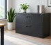 Choosing a 2 Drawer Lateral File Cabinet